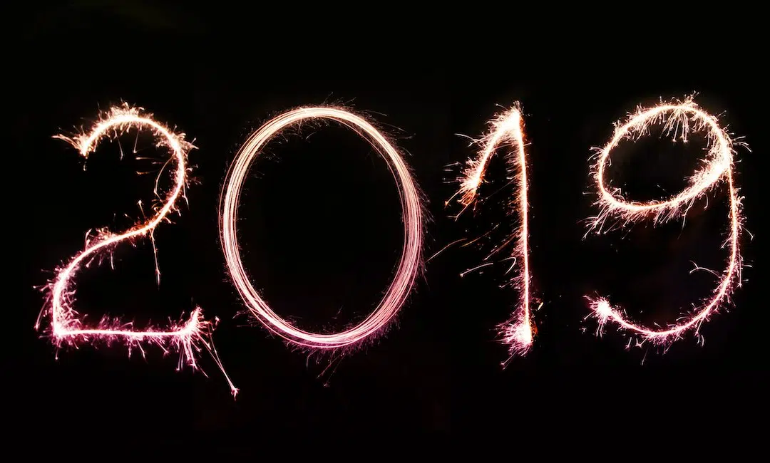2019 Year in Review