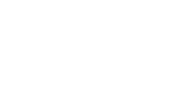 LG Business Solutions