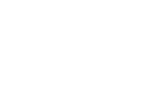 Peerless-AV