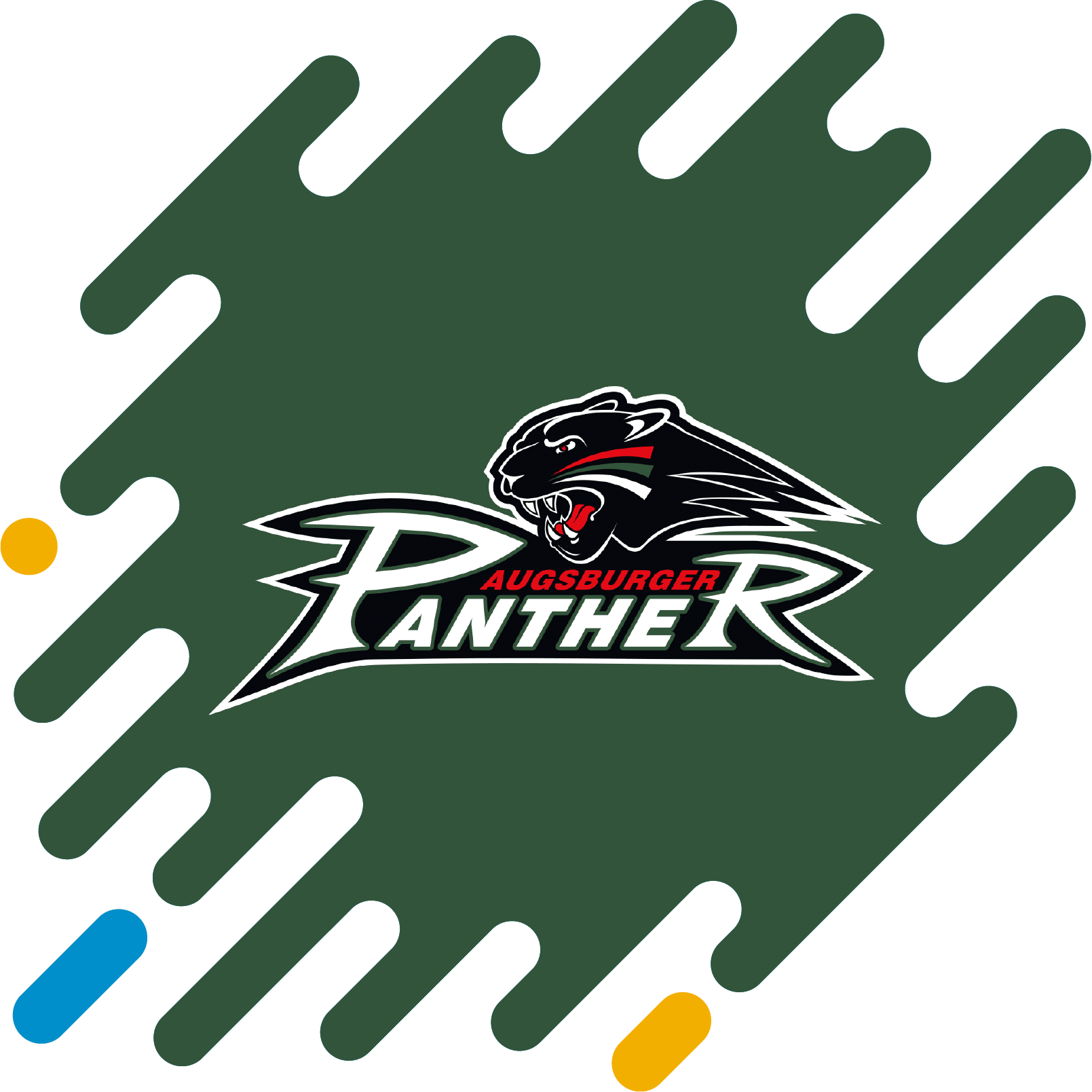 augsburger-panthers-hero-image