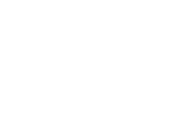Pruitt Health