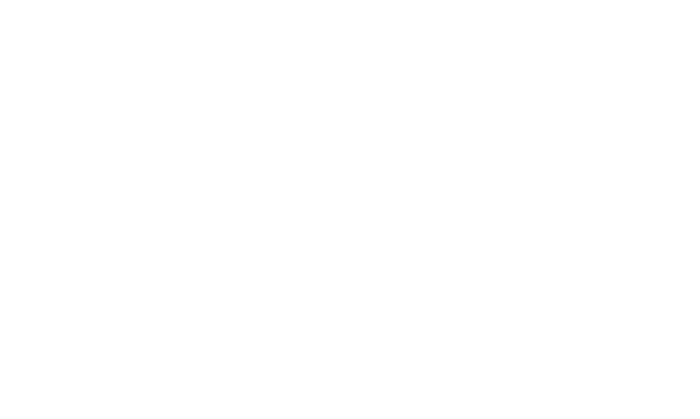Stayntouch
